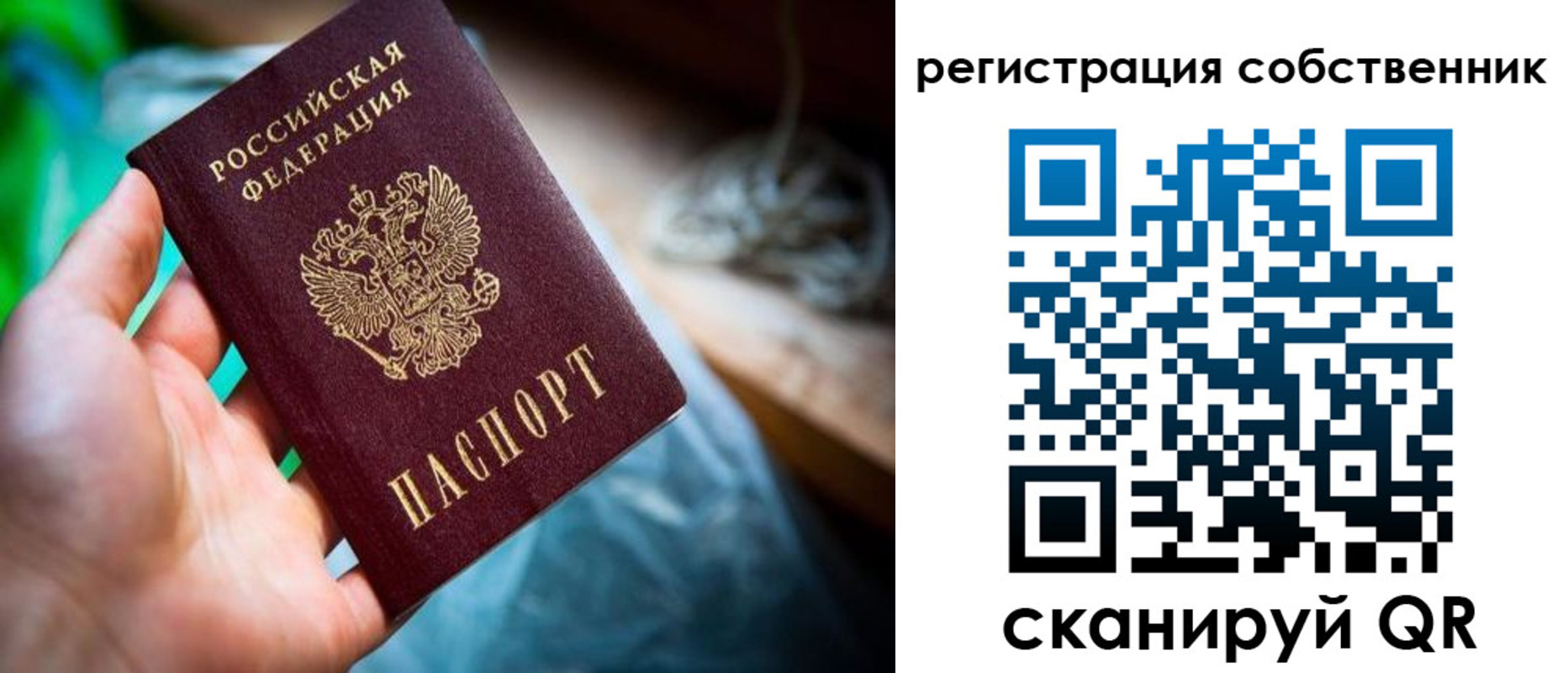 прописка гарантия в России